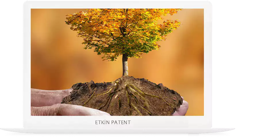 çevre yönetim sistemi denetimi-Zeytinburnu Patent