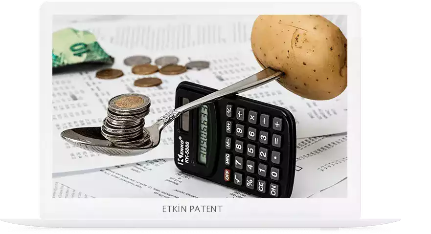 finansal davranışlara dair kombinasyon modeller-Zeytinburnu Patent