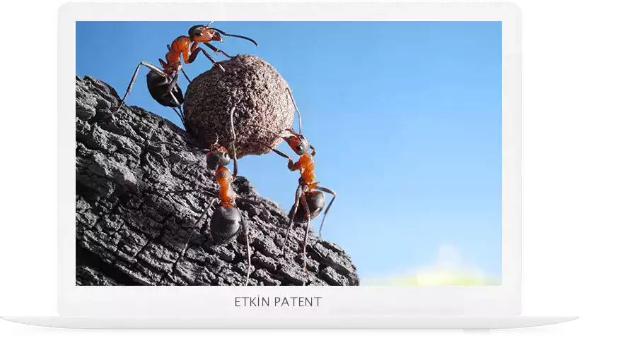 marka tescil sorgulama kriterleri-Zeytinburnu Patent